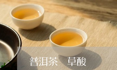 普洱茶 草酸/2023042979629